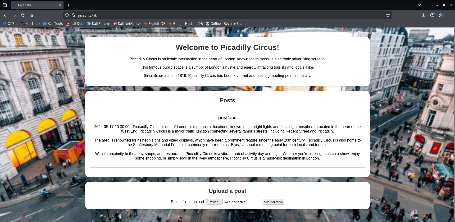 Web Picadilly
