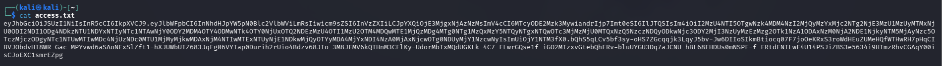 Token JWT en access.txt