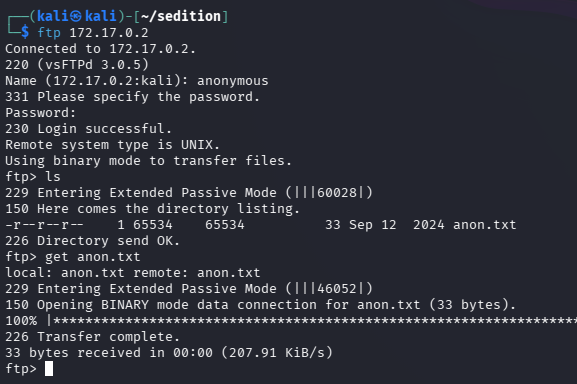 Descarga de anon.txt por FTP