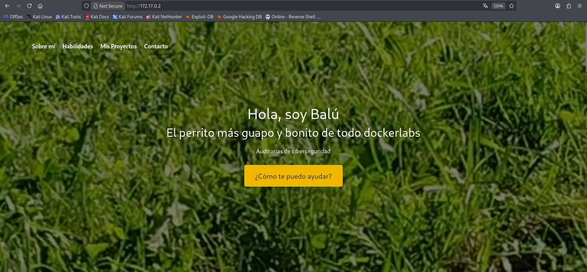 Web principal