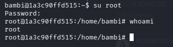 Shell como root